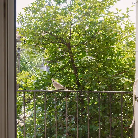 Apartamento Near Center With Balcony And Free Parking